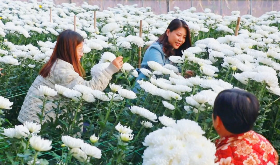 �F�ǅ^(q��)���ջ������M�ء���