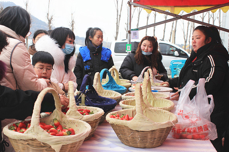 ��ݮ�h��c�´� | ���f�(zh��n)��ɽ�ڲ�ݮ��ժ��Ȥ���������w�(y��n)�e����ζ