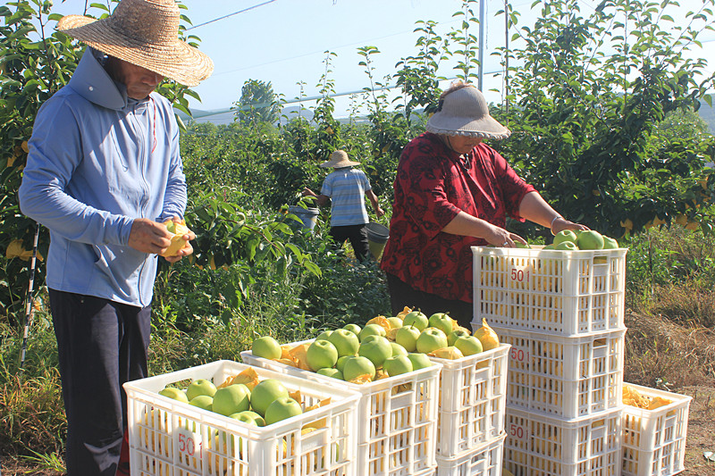 ��ó������Ѕ^(q��)ǰ�����@��(g��)���@������������